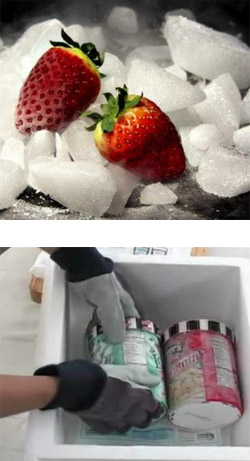 Profesjonalny transport żywności w suchym lodzie